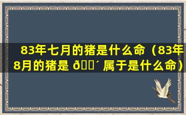 83年七月的猪是什么命（83年8月的猪是 🌴 属于是什么命）